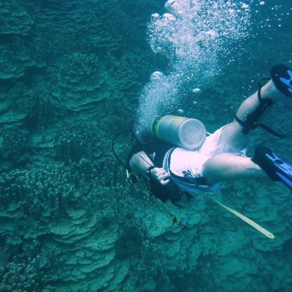 Meet your Posher, David - Picture 1 of 1